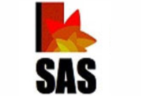 SAS Institute of Management Studies